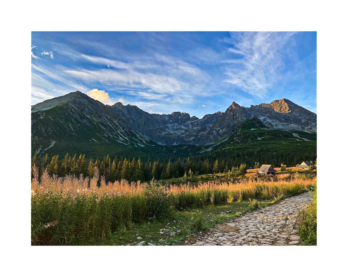 Willa Danielka Zakopane Exteriör bild